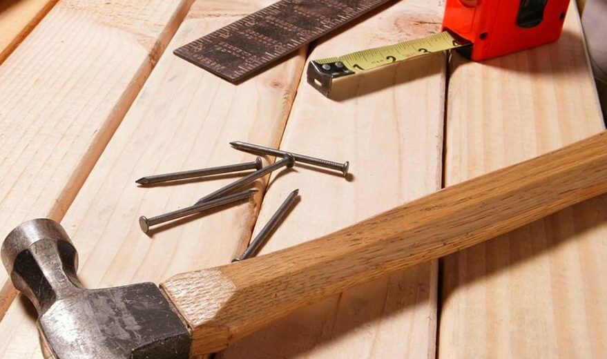 Carpenter's hammer with nails